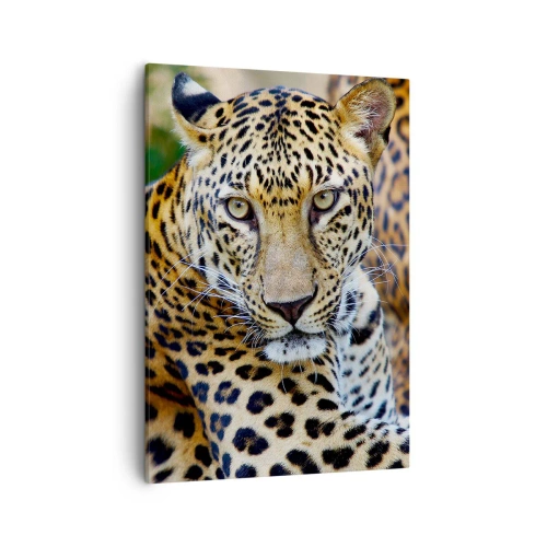Quadro em tela - Selvagem e tranquilo - 50x70 cm