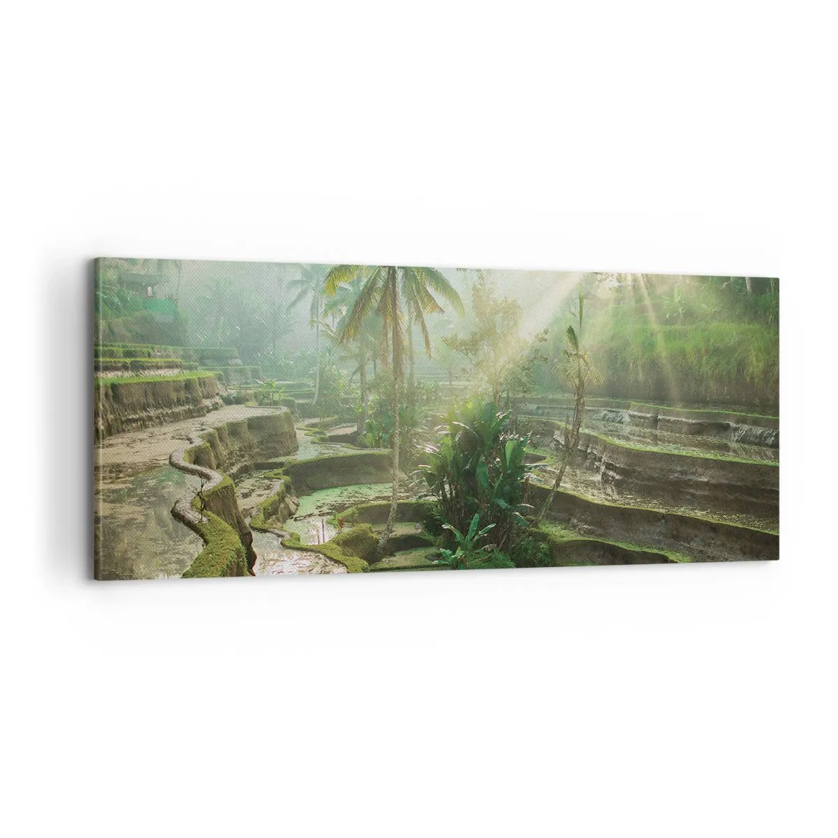 Quadro em tela - Crescer ao sol - 100x40 cm