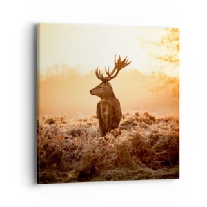 Quadro em tela - O senhor da propriedade - 40x40 cm