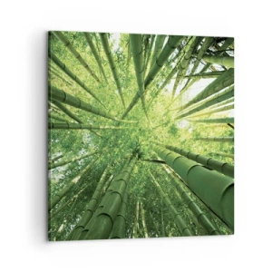 Quadro em tela - Em um bosque de bambu - 60x60 cm