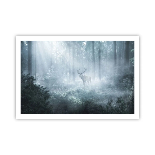 Pôster - Passeio matinal à volta da propriedade - 91x61 cm