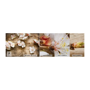 Amostra de papel de parede Premium Sand - E a primavera chegou - Flores, Galho com flores, Natureza - 100x30 cm