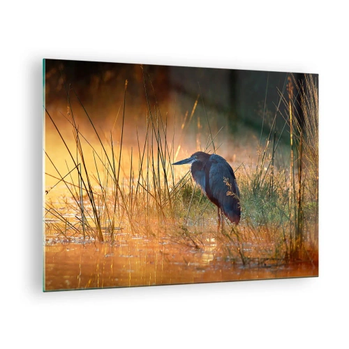 Quadro em vidro - Pôr do sol sobre um lago com uma garça - 70x50cm - Já chega de fotos - Decoração de parede moderna para a sala de estar e quarto ARTTOR