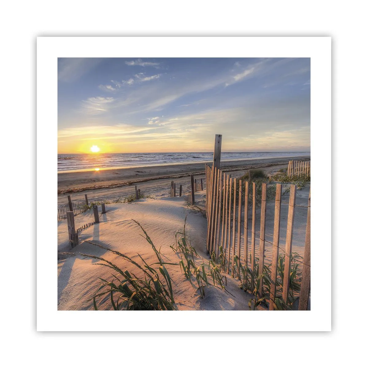 Pôster - Brilho e sombra do vento - 50x50 cm