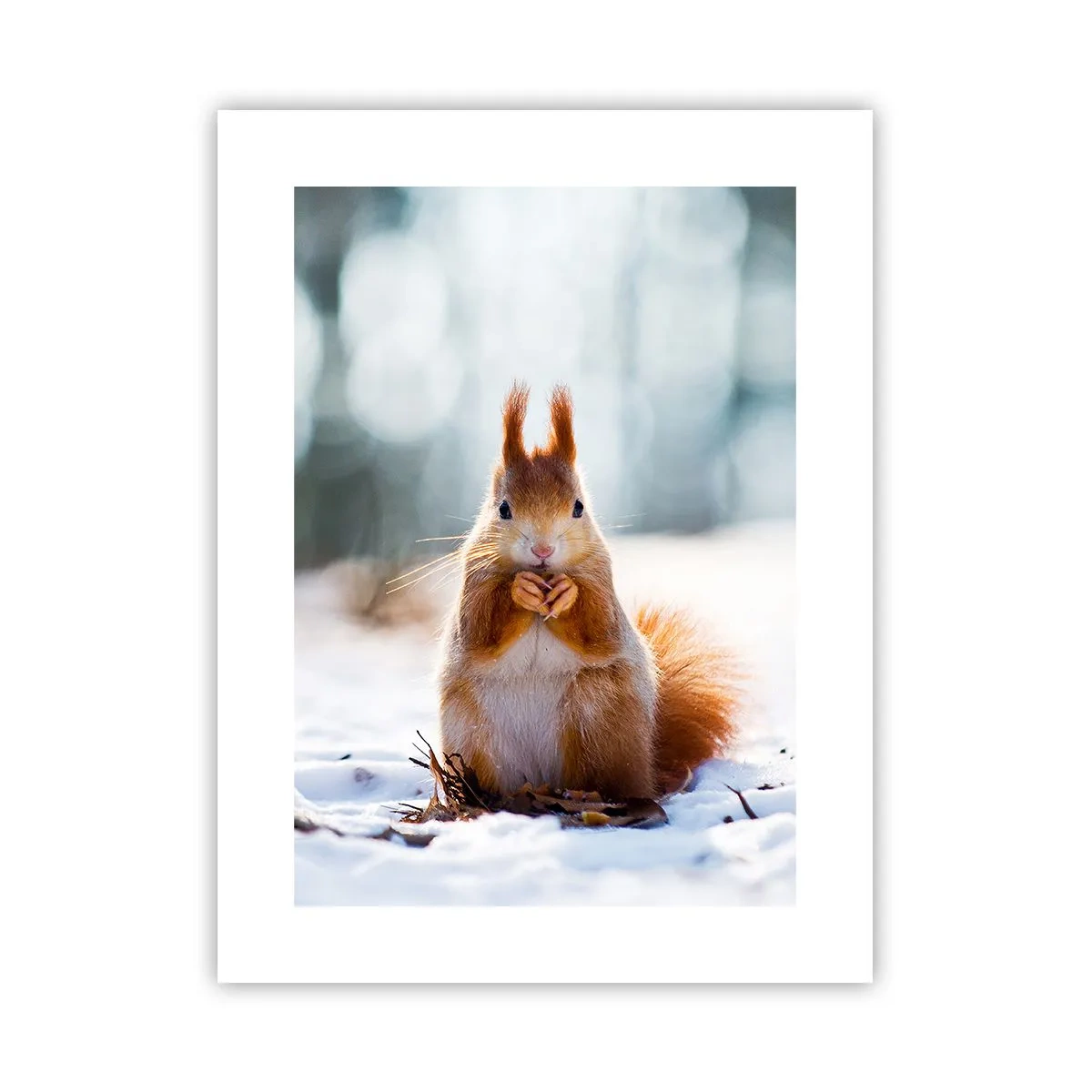 Pôster - Para o que estás a olhar? - 30x40 cm