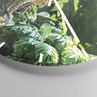 Mostrador com traços