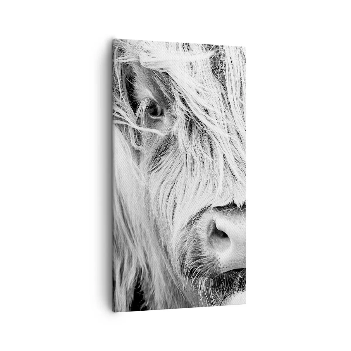 Quadro em tela - Natureza selvagem escocesa - 55x100 cm