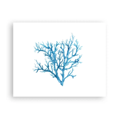 Pôster - Filigrana náutica - 50x40 cm