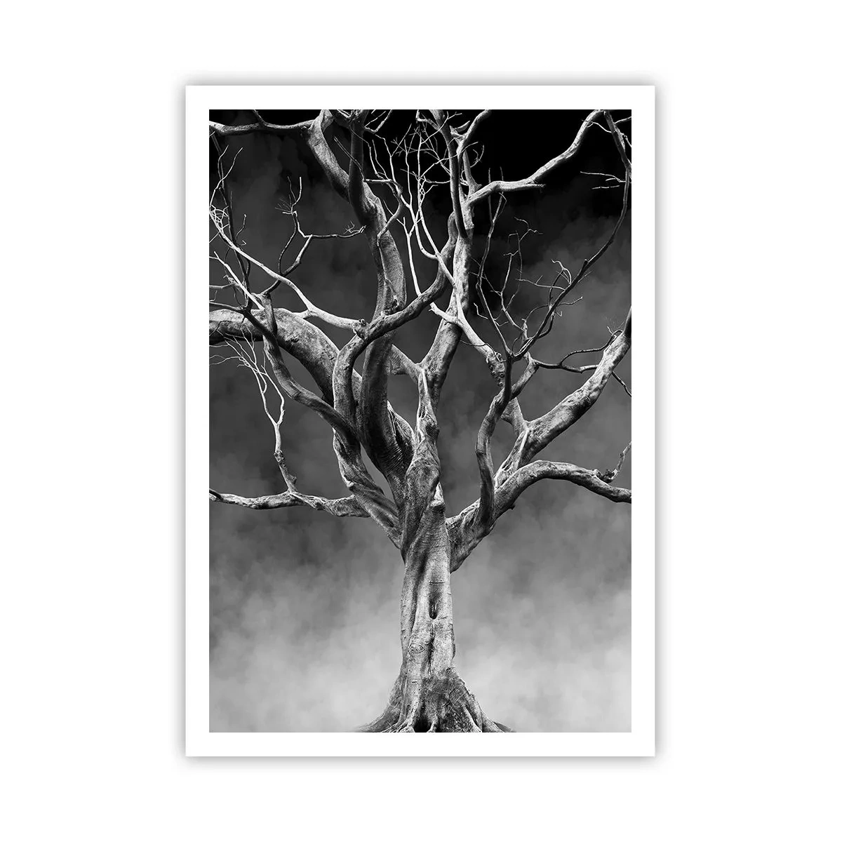 Pôster - Primitivo e sagrado - 70x100 cm