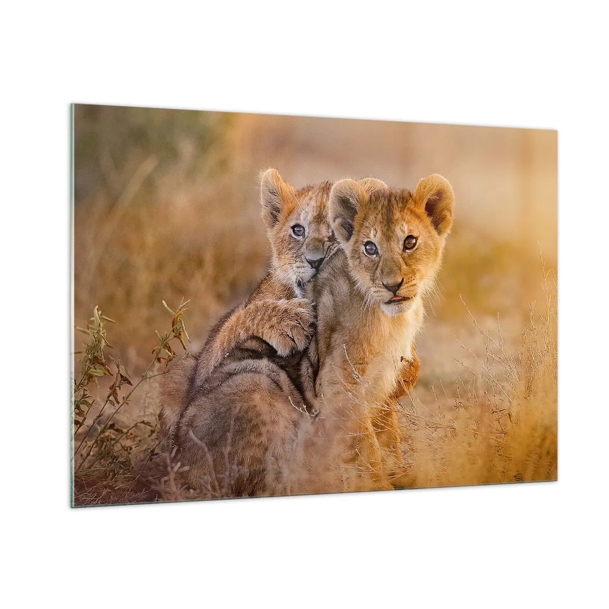 Quadro em vidro - Não perturbe! Estamos a divertir-nos - 100x70 cm