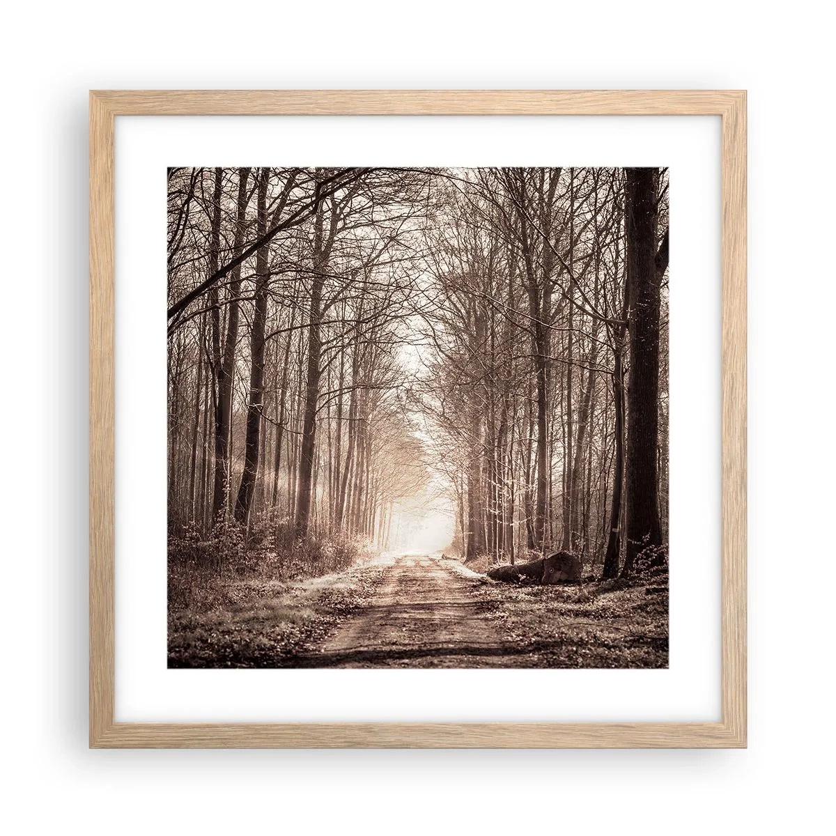 Pôster com moldura de carvalho claro - Catedral na Floresta - 40x40 cm