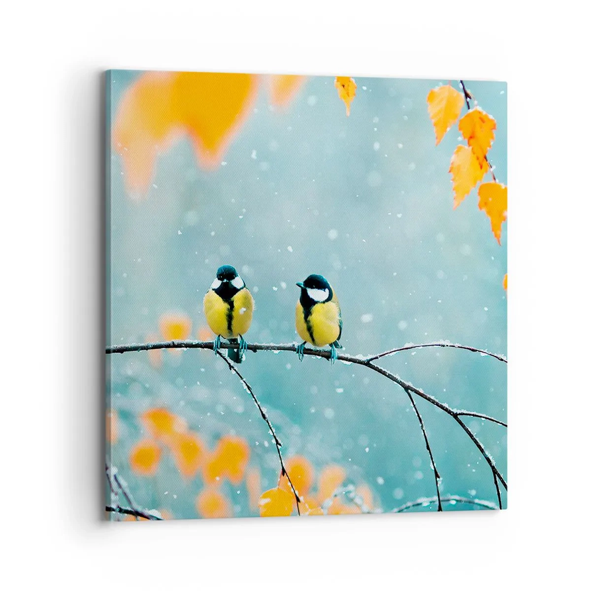 Quadro em tela - Fofoca de pássaros - 70x70 cm