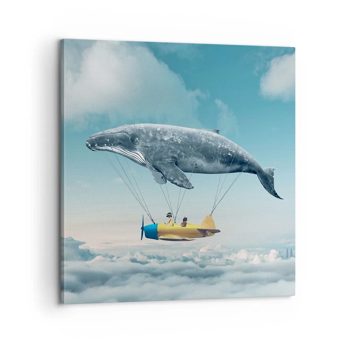 Quadro em tela - Por que não? - 60x60 cm