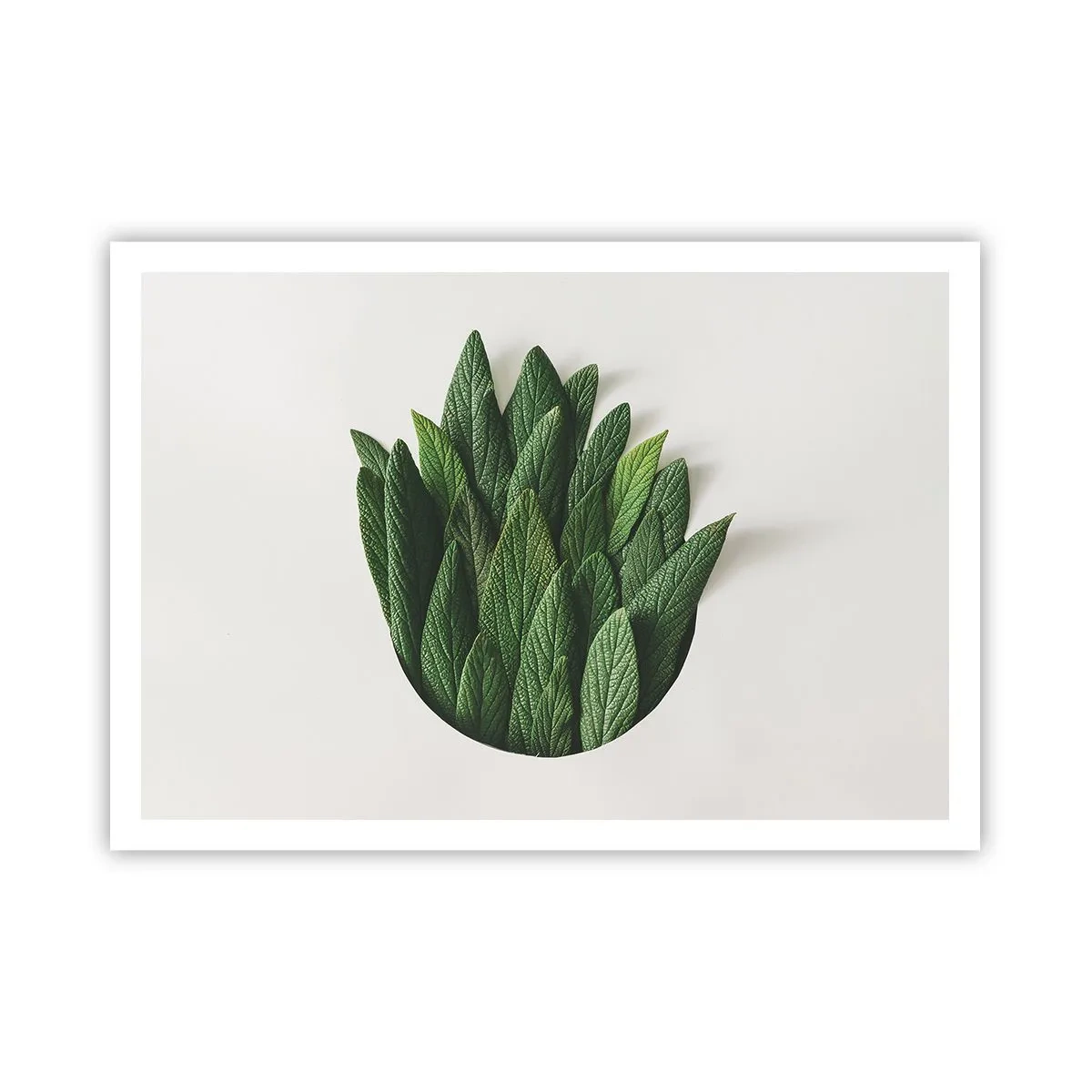 Pôster - Curiosidade indomável - 100x70 cm