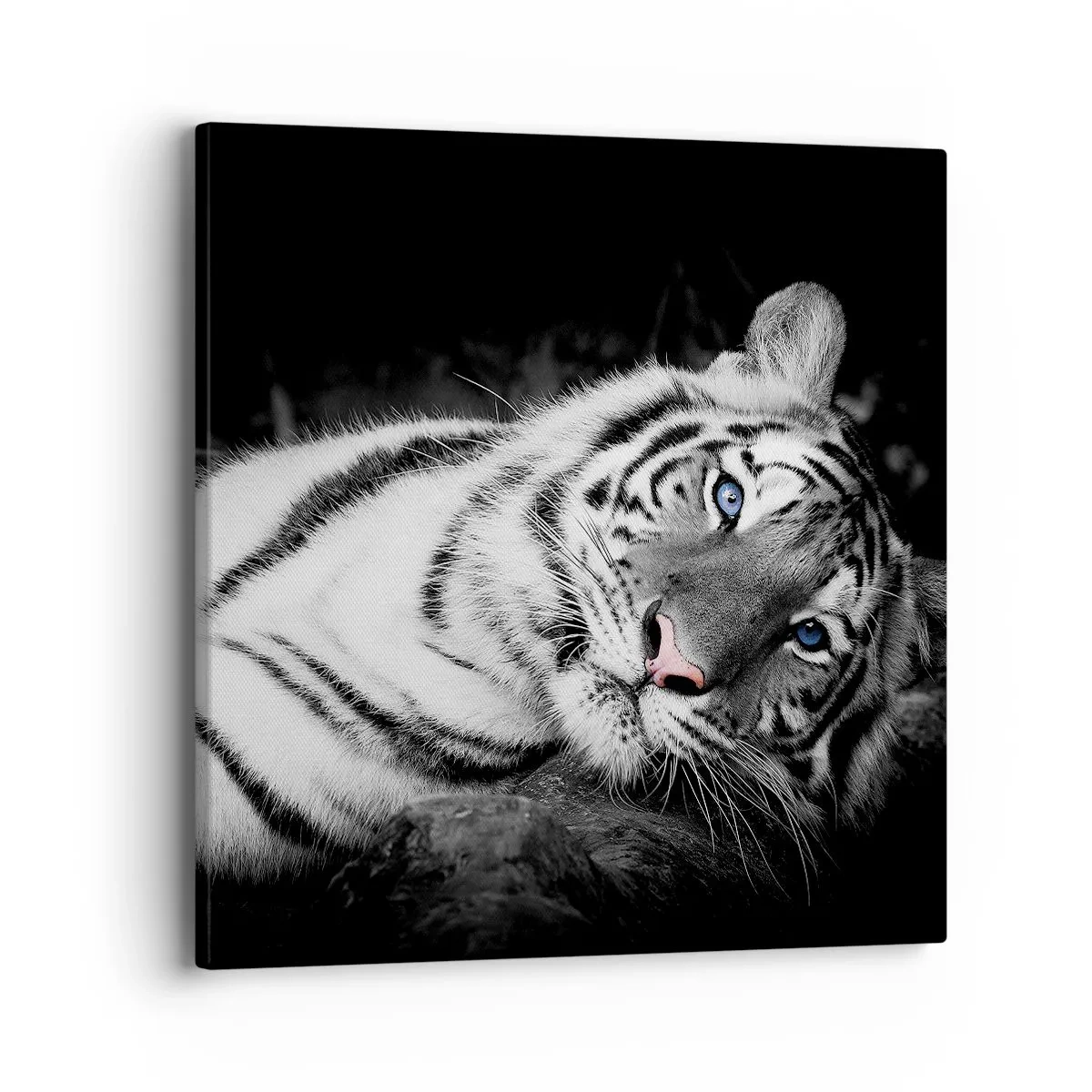 Quadro em tela - Selvagem e tranquilo - 40x40 cm