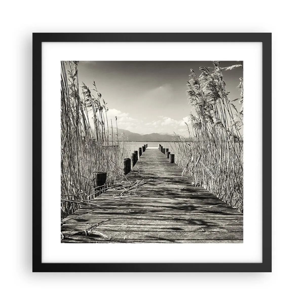 Pôster com moldura preta - No silêncio da relva - 40x40 cm