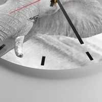 Mostrador com traços