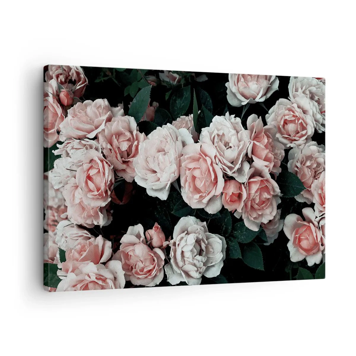 Quadro em tela - Rosas cor de rosa em um fundo escuro em uma composição sutil - 70x50cm - Conjuntos de rosas - Decoração de parede moderna para a sala de estar e quarto ARTTOR