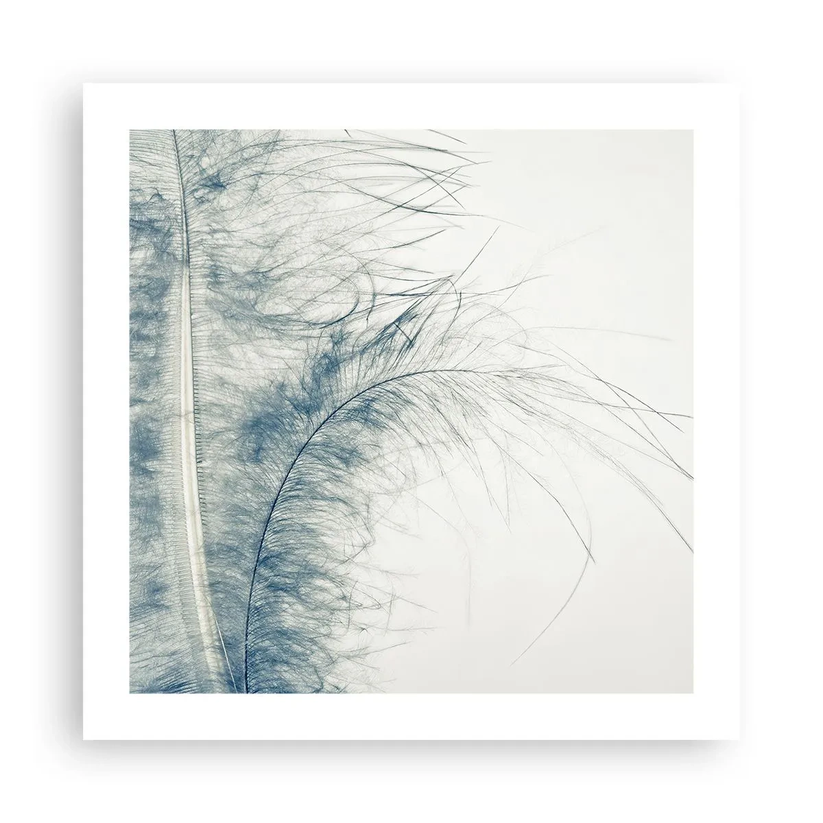 Pôster - O sussurro da natureza - 50x50 cm