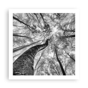 Pôster - Corrida até a luz - 60x60 cm