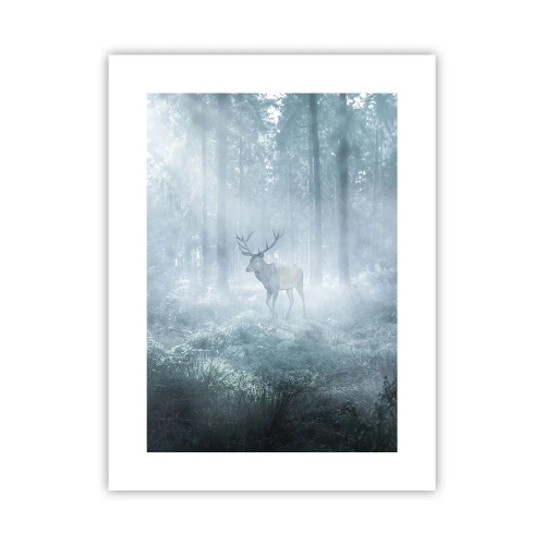 Pôster - Passeio matinal à volta da propriedade - 30x40 cm