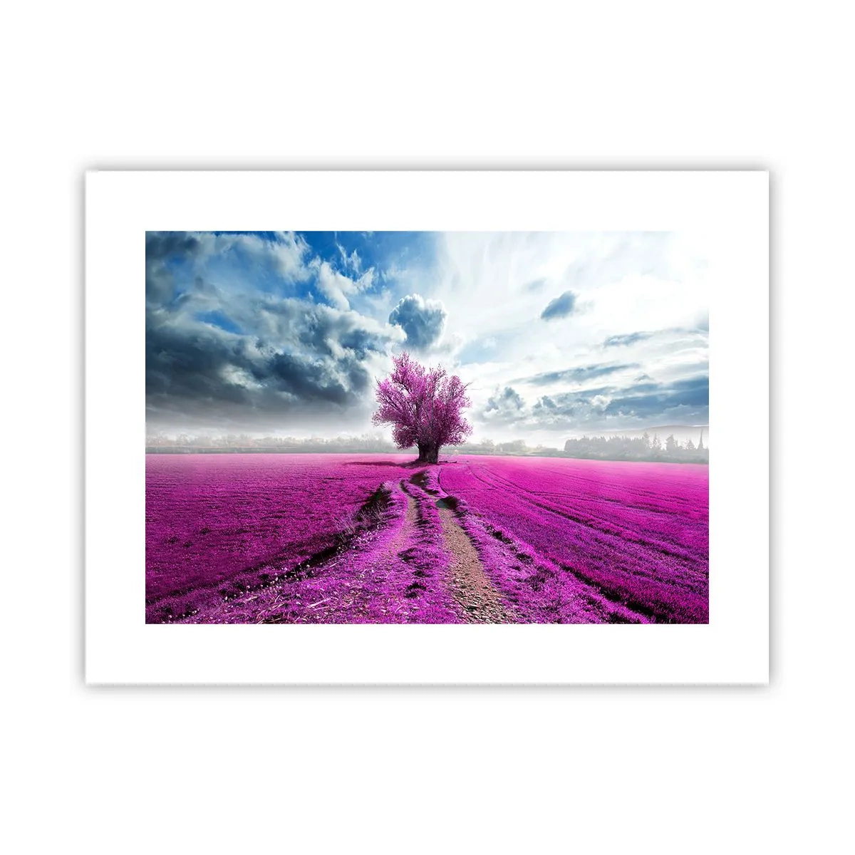 Pôster - Charmosa charneca - 40x30 cm