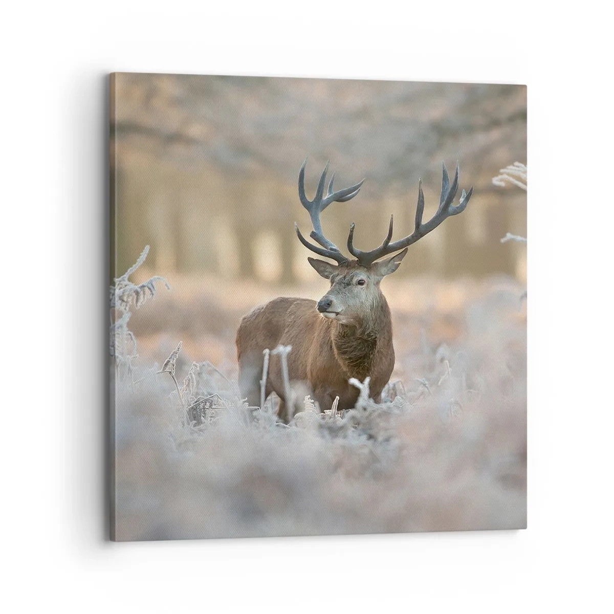 Quadro em tela - Uma manhã fresca - 70x70 cm