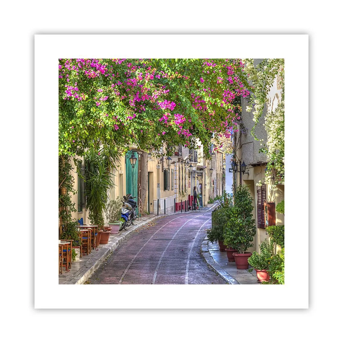 Pôster - Beco florido - 40x40 cm
