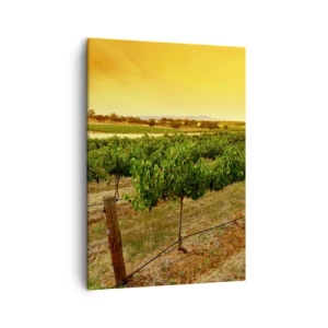 Quadro em tela - Sede de sol - 50x70 cm