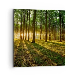 Quadro em tela - Fotografia de todas as primaveras - 70x70 cm