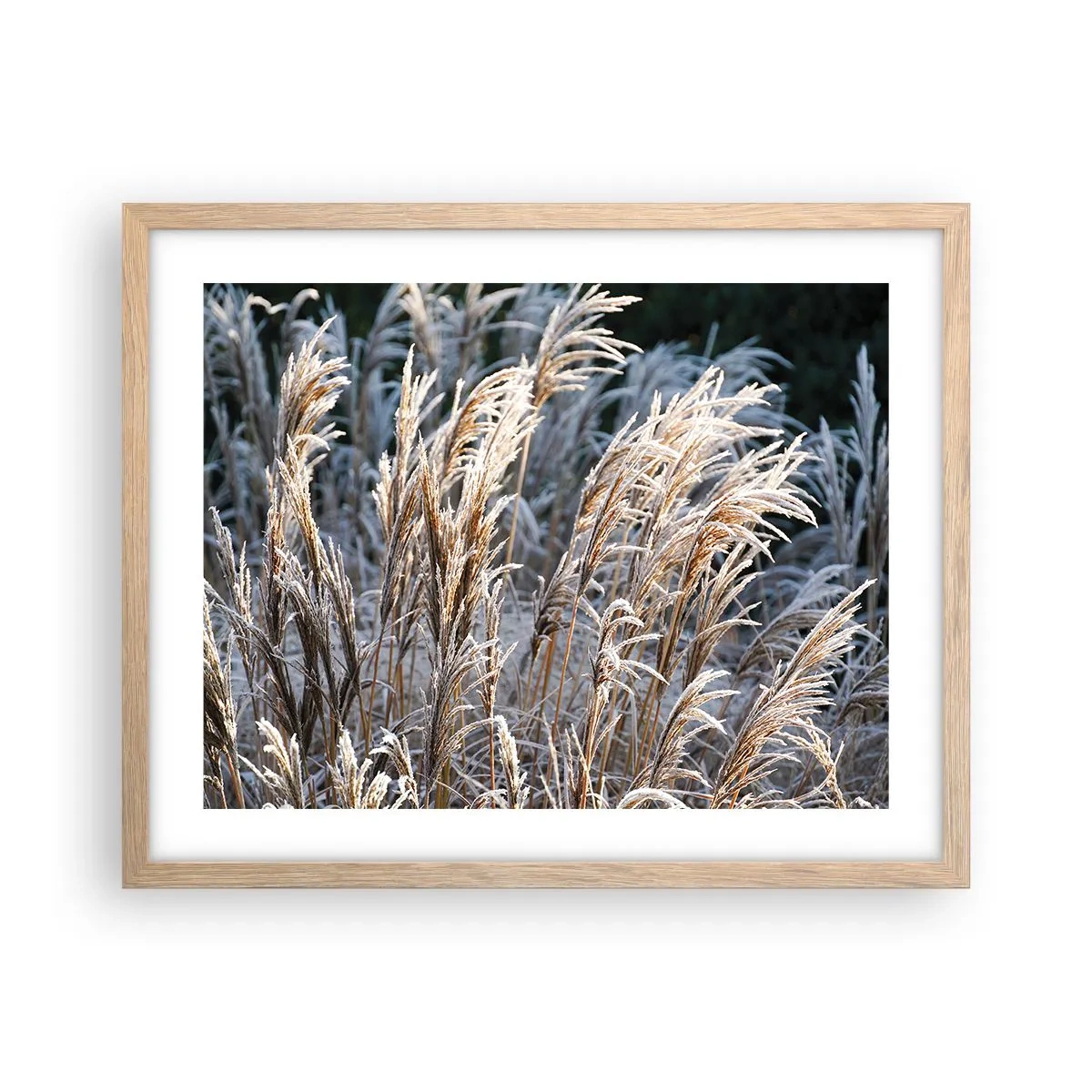 Pôster com moldura de carvalho claro - Decorado com a geada - 50x40 cm