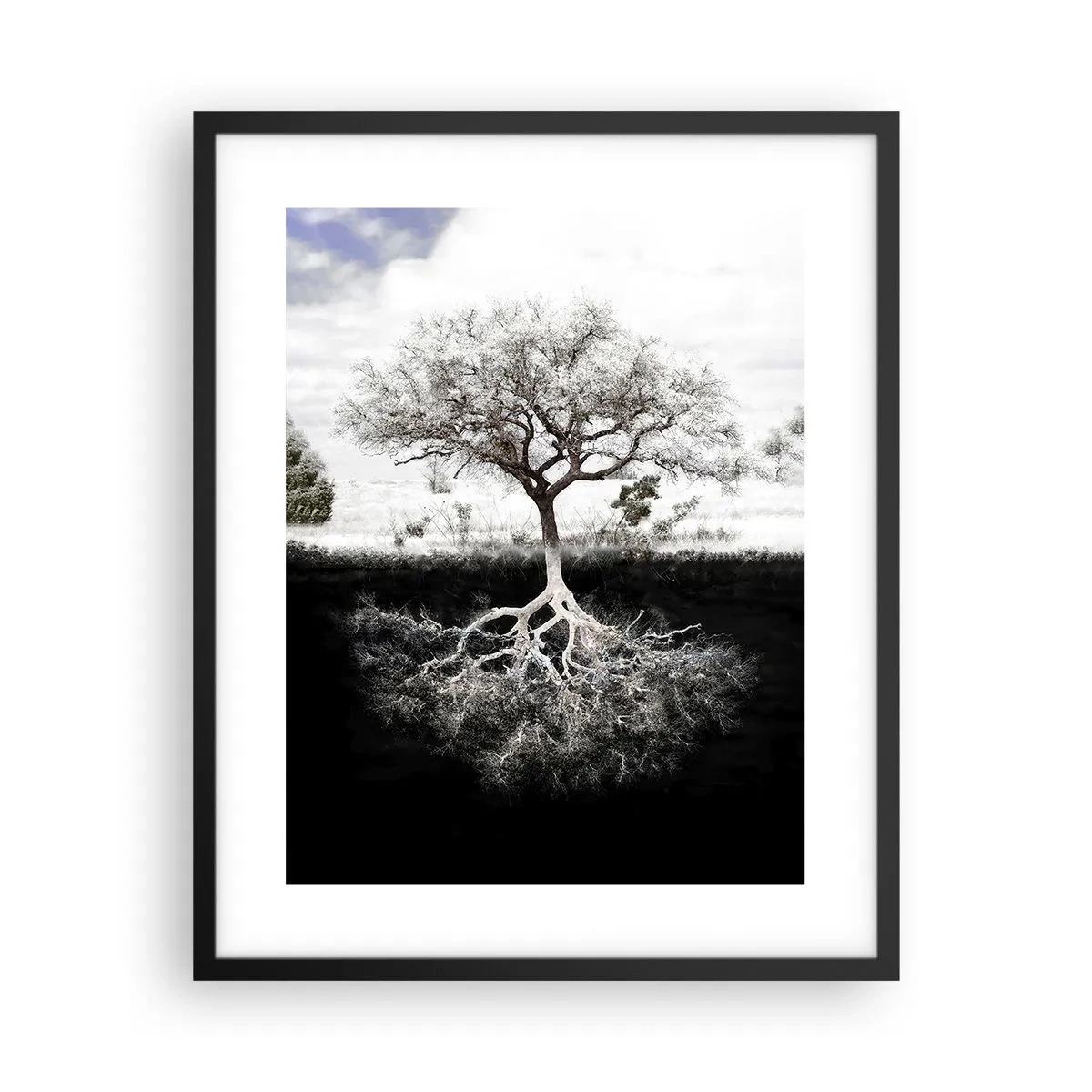 Pôster com moldura preta - Descobrir a natureza do mundo - 40x50 cm