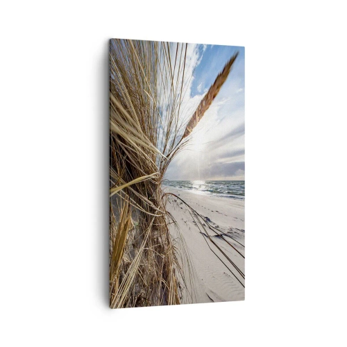 Quadro em tela - Reunião dos rlementos da natureza - 45x80 cm