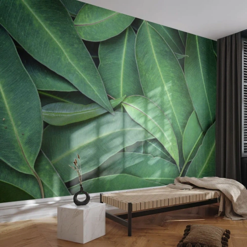 Papel de Parede Premium Canvas - Suculentas e frescas - Folhas, Eucalipto, Natureza - 150x105 cm