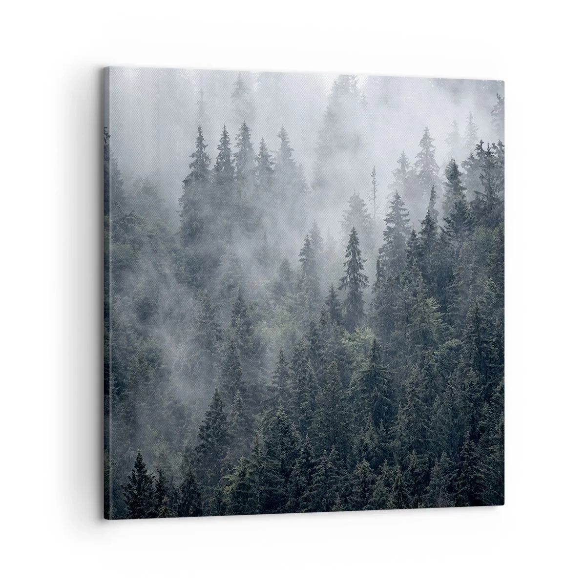 Quadro em tela - O amanhecer da floresta - 60x60 cm