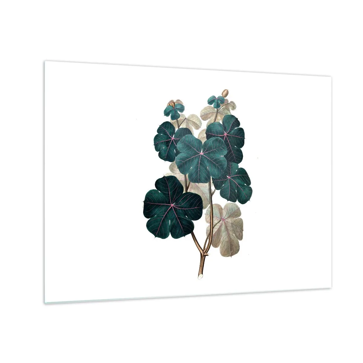 Quadro em vidro - Ilustração botânica de folhas verdes sobre fundo branco - 70x50cm - Do antigo herbário - Decoração de parede moderna para a sala de estar e quarto ARTTOR