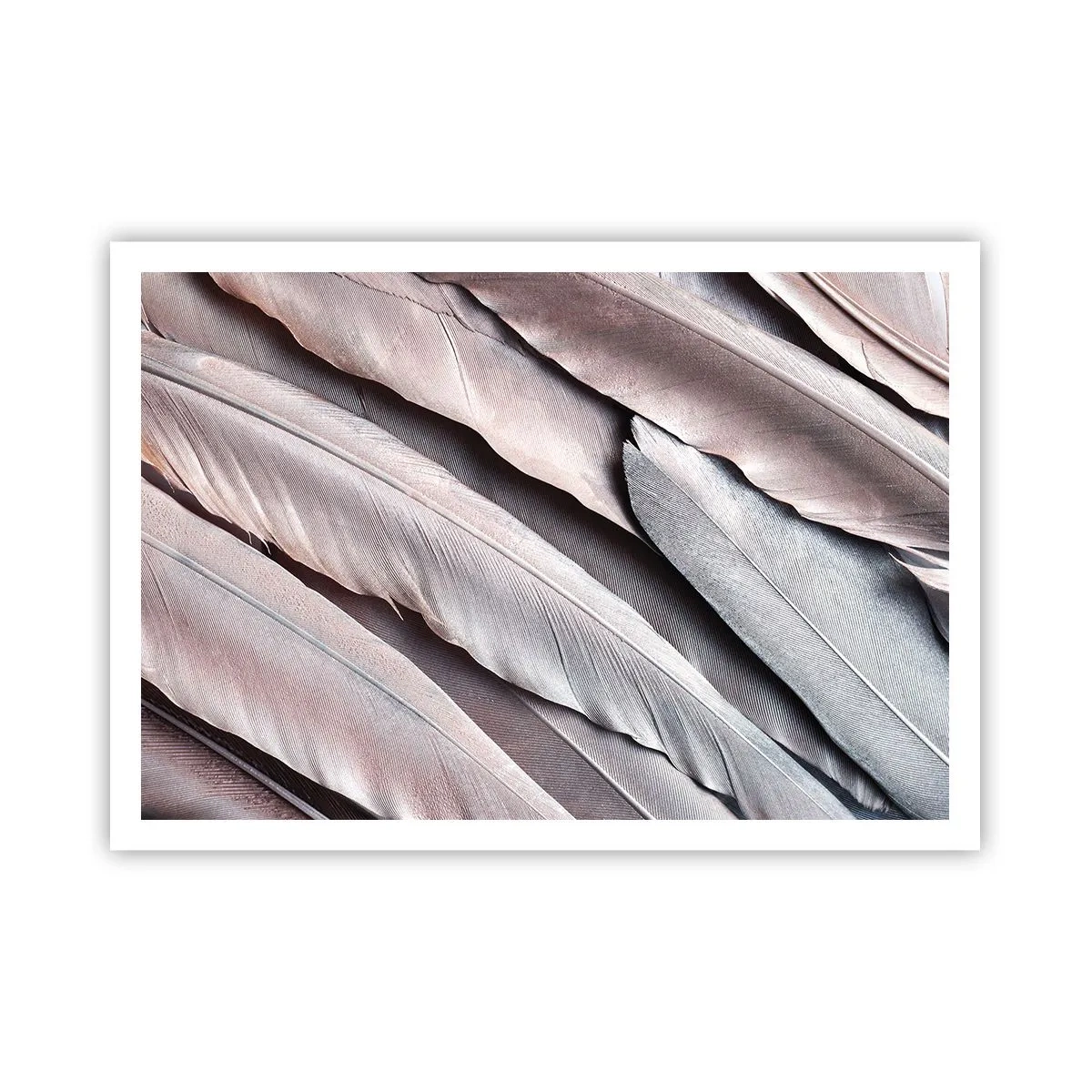 Pôster - Em prateado rosa - 100x70 cm