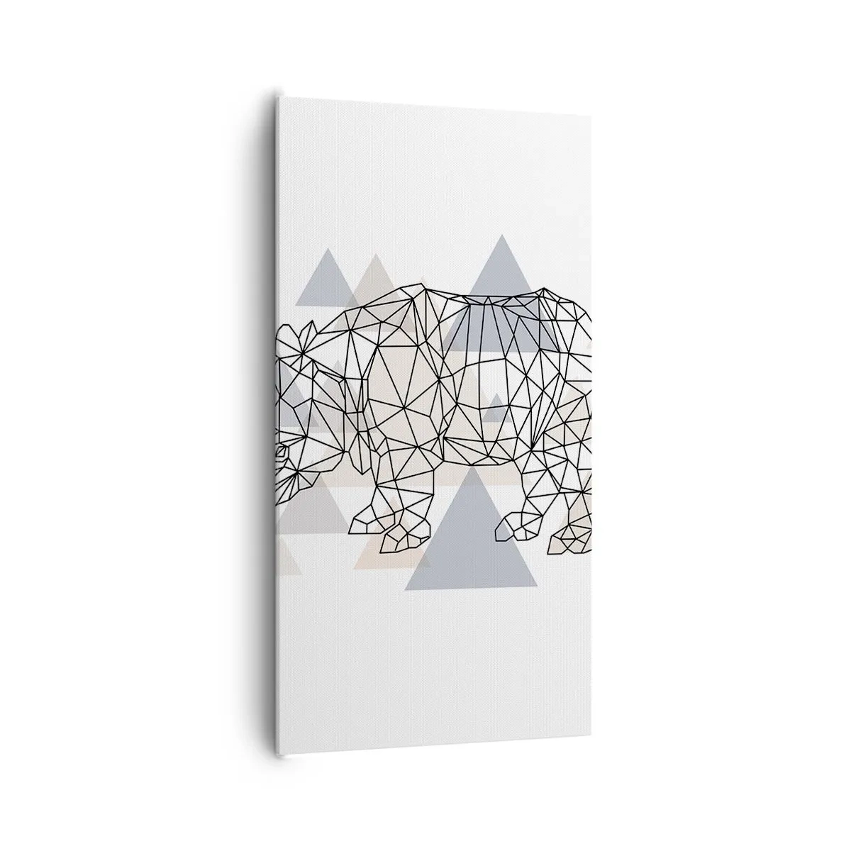 Quadro em tela - Estrutura da força - 65x120 cm