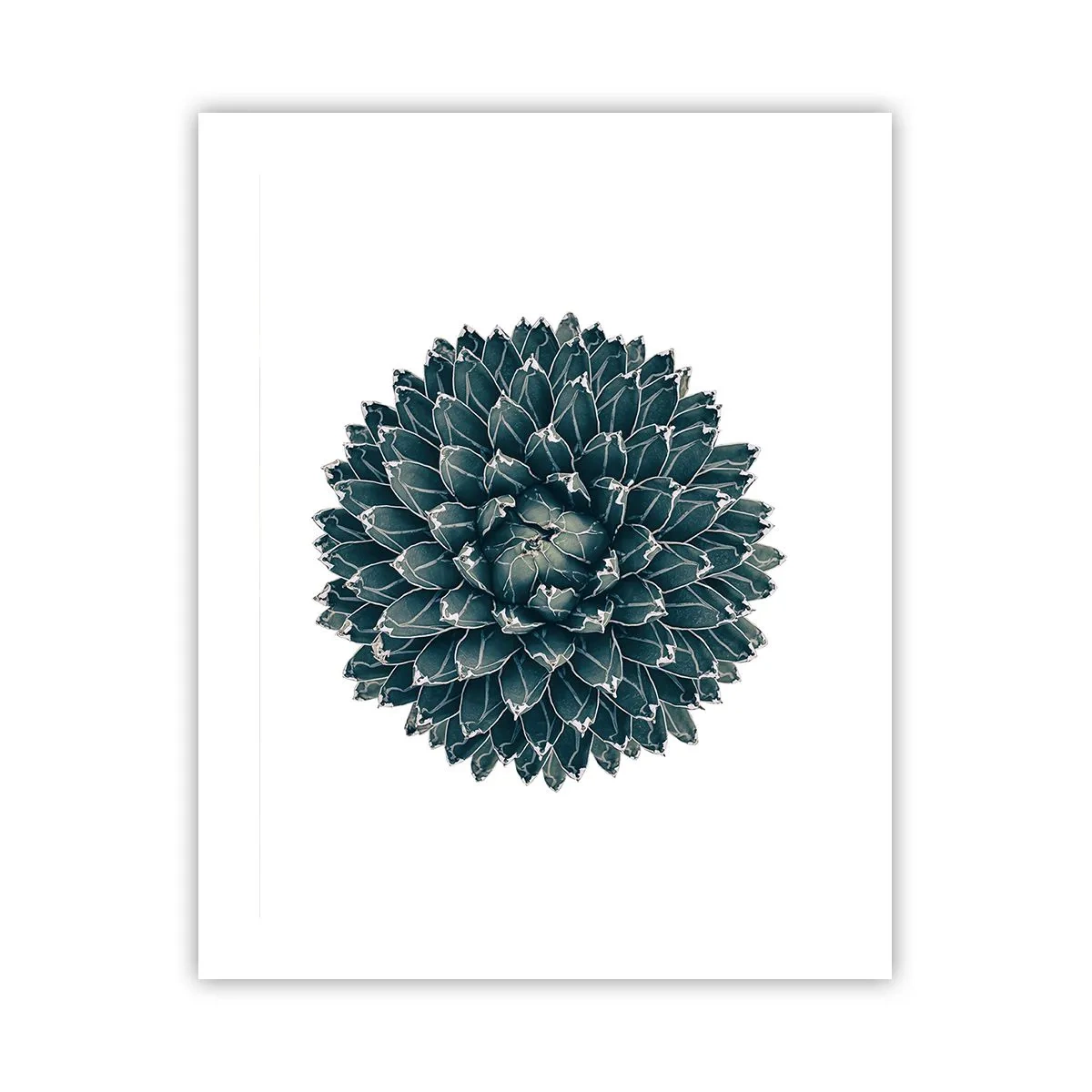 Pôster - Estrela do Deserto - 40x50 cm