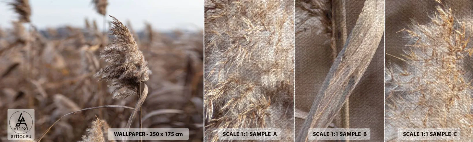 Amostra de papel de parede Premium Canvas - É hora de voar com o vento - Prado, Grama dos Pampas, Natureza - 100x30 cm