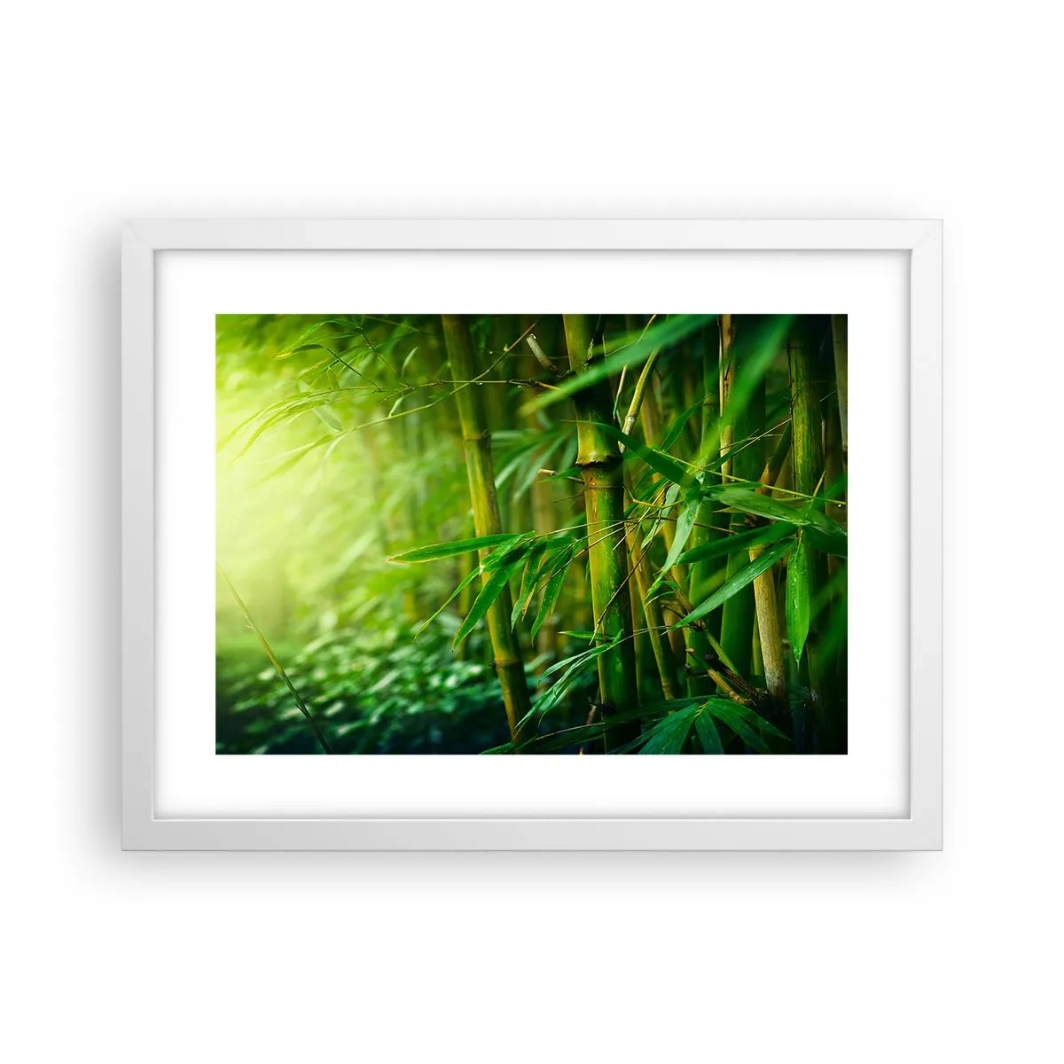 Pôster em moldura branca - Conheça a vegetação  - 40x30 cm