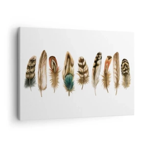 Quadro em tela - Motivo decorativo de uma coleção de penas diversas - 70x50cm - Variações de penas - Decoração de parede moderna para a sala de estar e quarto ARTTOR