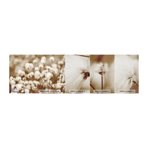 Amostra de papel de parede Premium Canvas - Campos felpudos - Flor de algodão, Flor, Galho de algodão - 100x30 cm