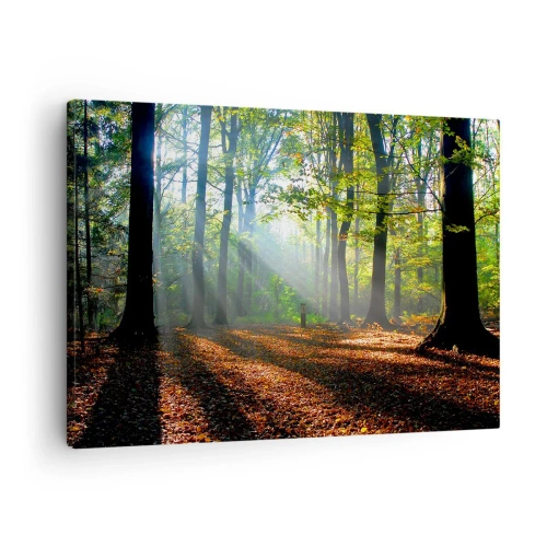 Quadro em tela - Uma clareira na floresta iluminada pelos raios do sol - 70x50cm - Luzes e sombras - Decoração de parede moderna para a sala de estar e quarto ARTTOR