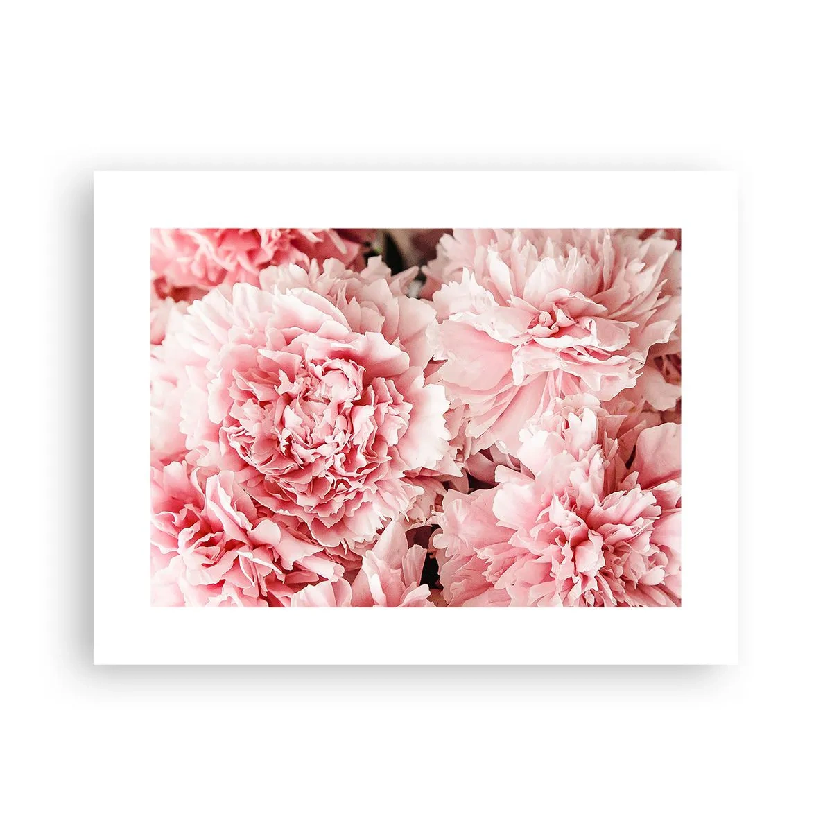 Pôster - Sonho rosa - 40x30 cm