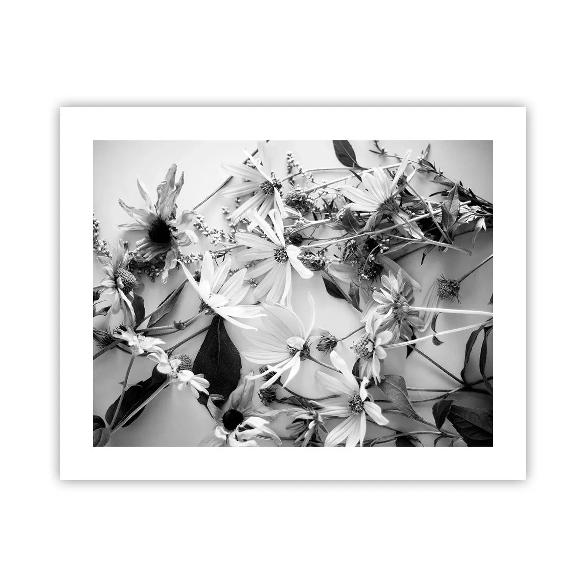 Pôster - Não é um ramo de flores - 50x40 cm