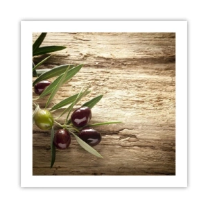 Pôster - Direto da natureza - 50x50 cm