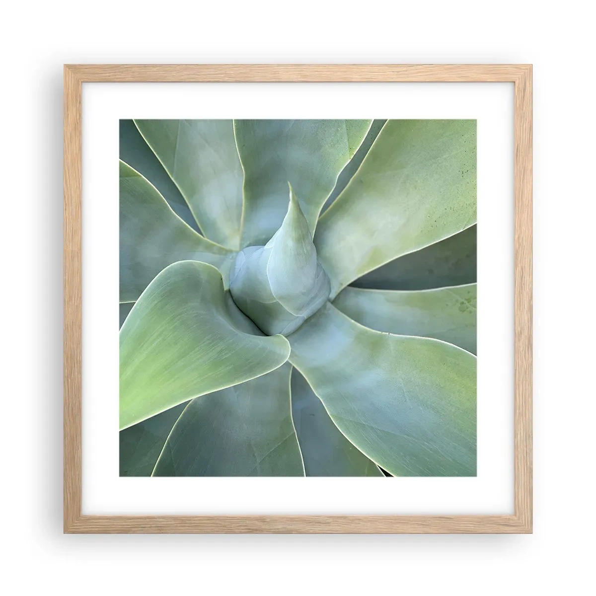 Pôster com moldura de carvalho claro - O nascimento da vegetação - 40x40 cm