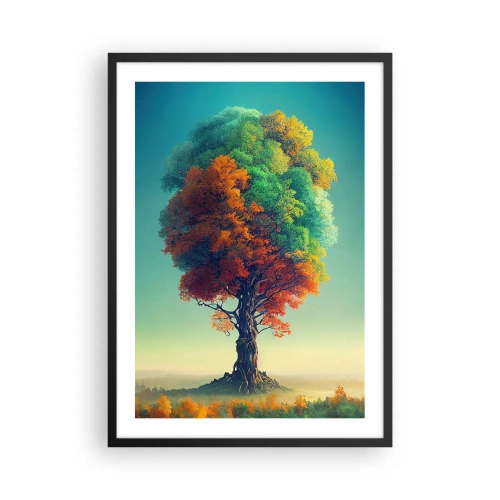 Pôster com moldura preta - Uma árvore com as cores das quatro estações - 50x70cm - Carvalho – o pai da natureza - Decoração de parede moderna para a sala de estar e quarto ARTTOR