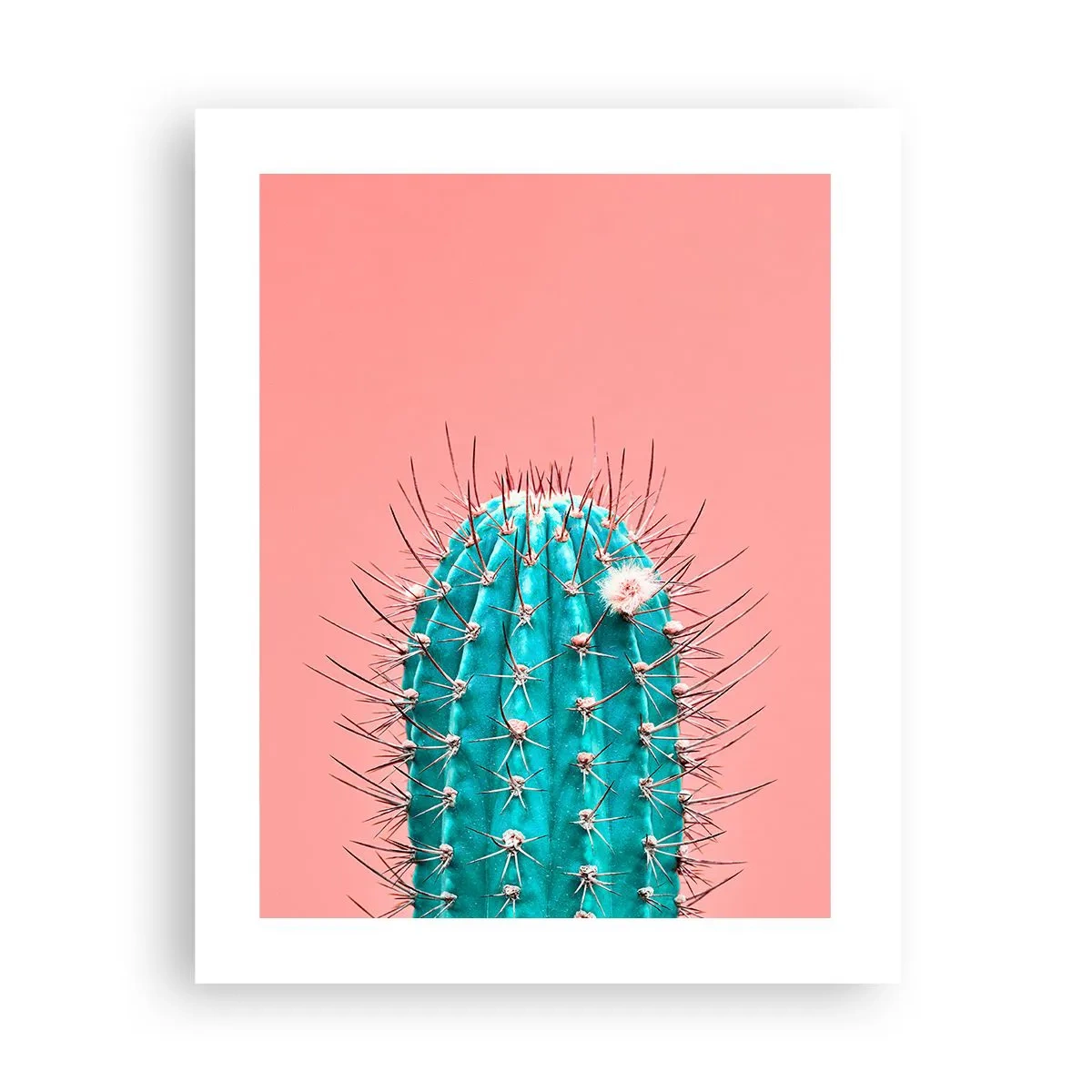 Pôster - Apenas olhe - 40x50 cm